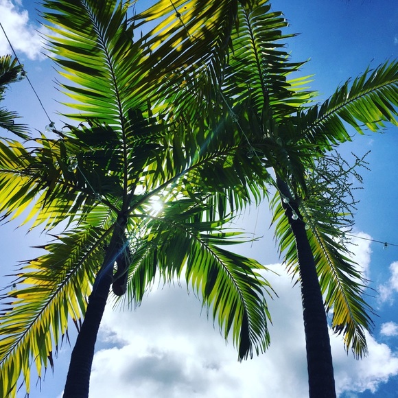 Hi, I’m Claudia - Picture 1 of 2